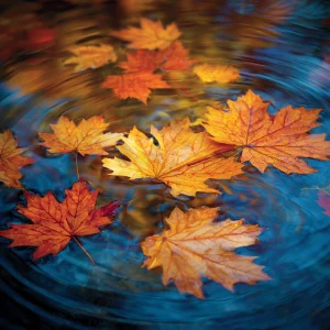 11-you-are-in-the-releasing-self-life-cycle-ages-70-76